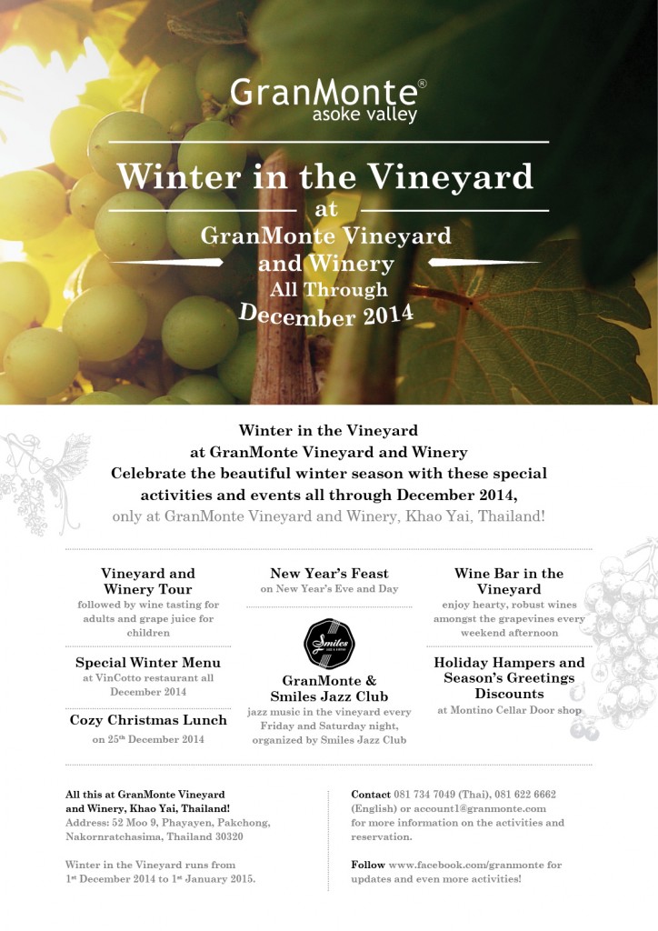 Winter in the Vineyard Poster