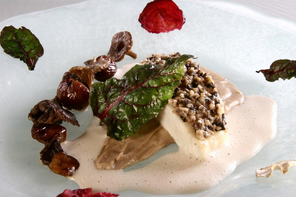 Chanterelle-crusted turbot with  chestnut mousseline and  verjus sauce_