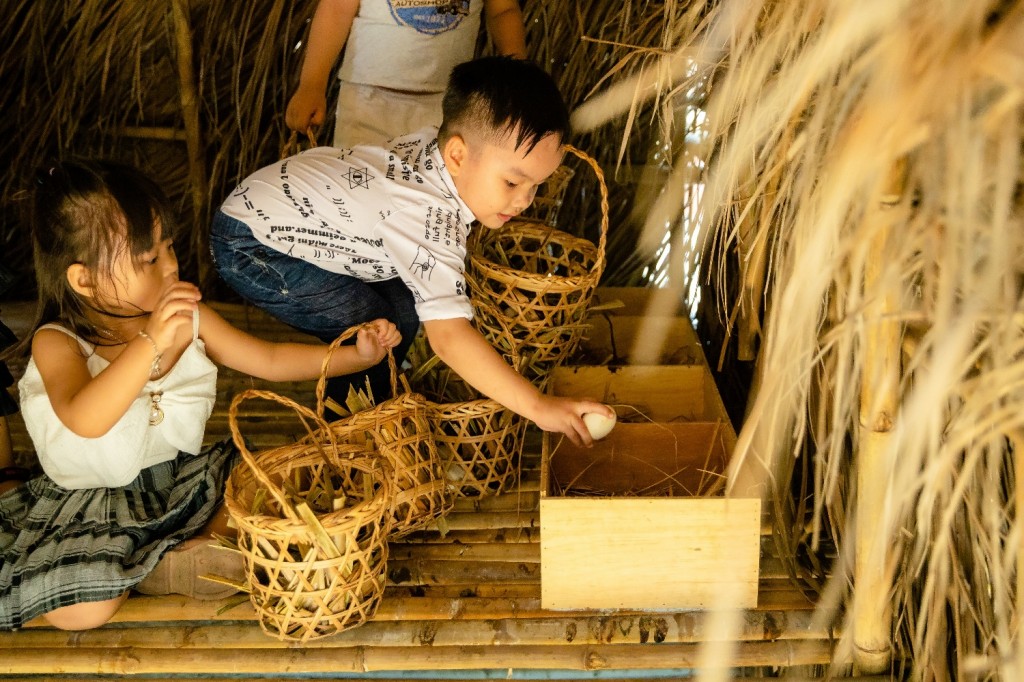 Collecting eggs at Fusion Resort Cam Ranh's Farm