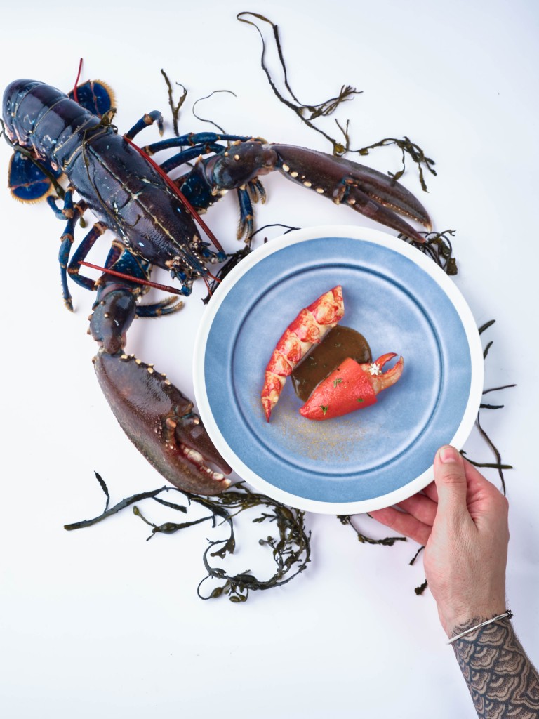 Lobster_1