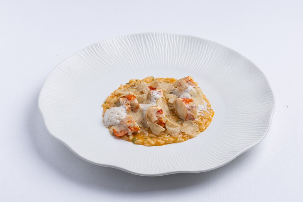 Risotto lobster, burrata and white truffle