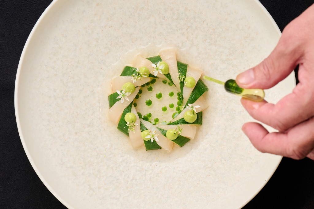 08. Scallop and Cucumber Salad with Basil Mayo and Coriander Oil