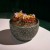 Wagyu Short Rib – Salsa Verde (H)