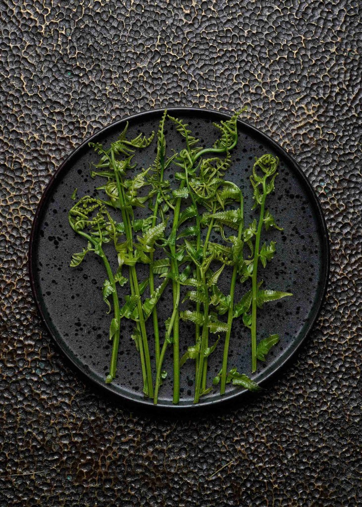 03. Edible FernWhispers of the Land_Sra Bua by Kiin Kiin
