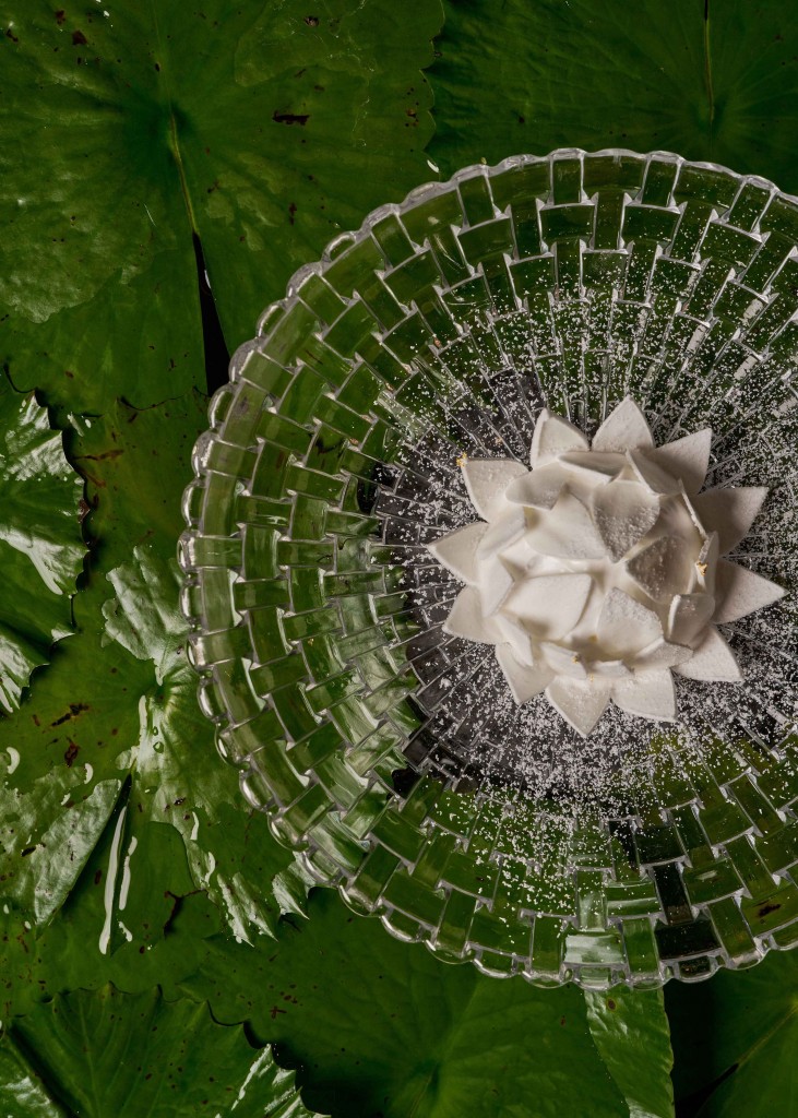 09. The White Lotus_Whispers of the Land_Sra Bua by Kiin Kiin