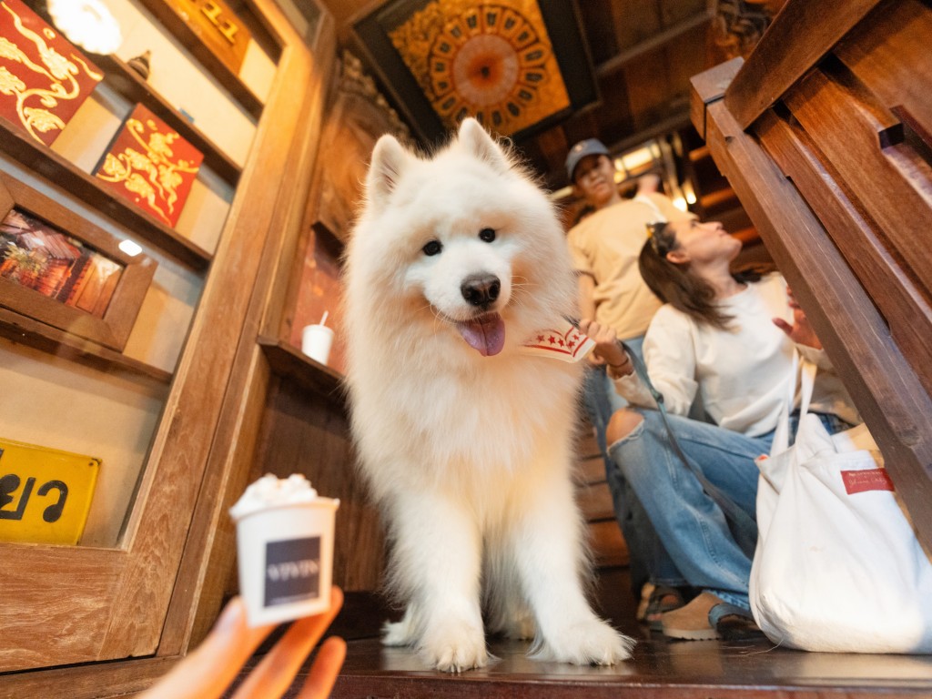 Dog Day Afternoon 10