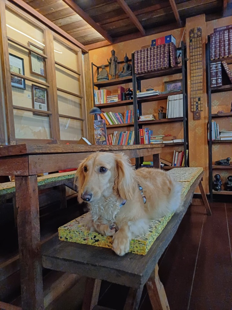 Dog Day Afternoon 47