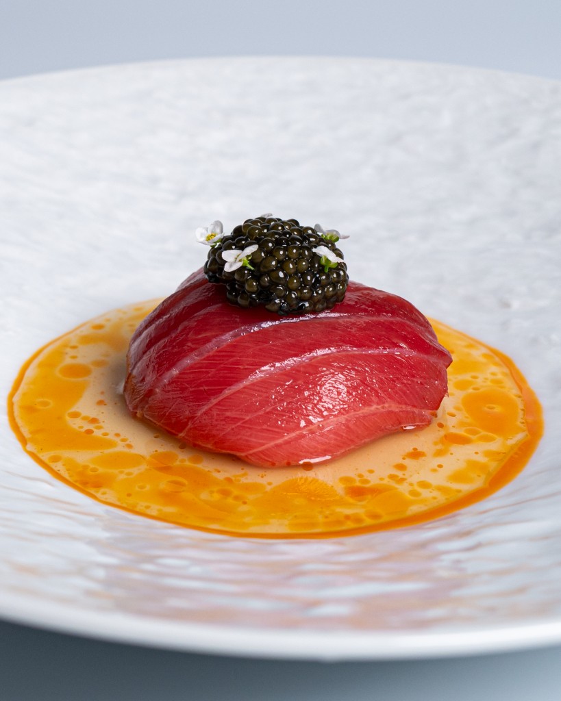 Kansai Region Meji Maguro_1