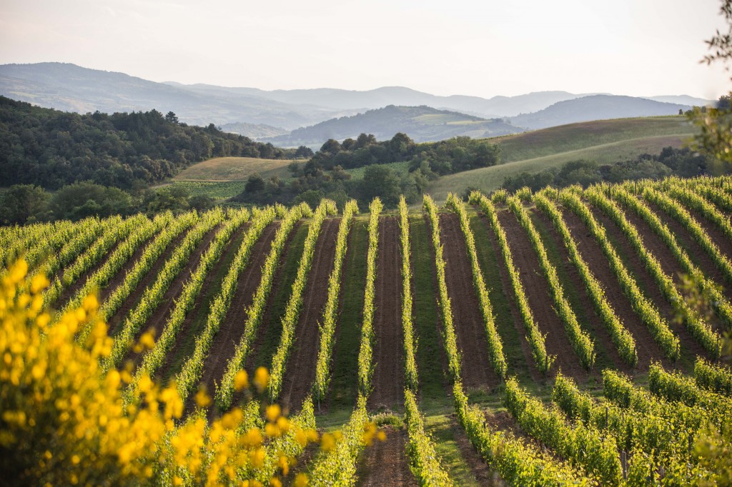 BARONARQUES-JUIN-2016-389