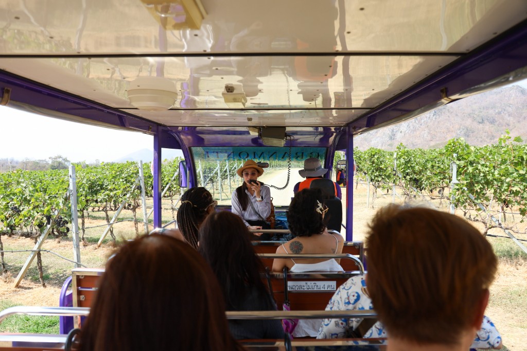 GranMonte Harvest Activities 7