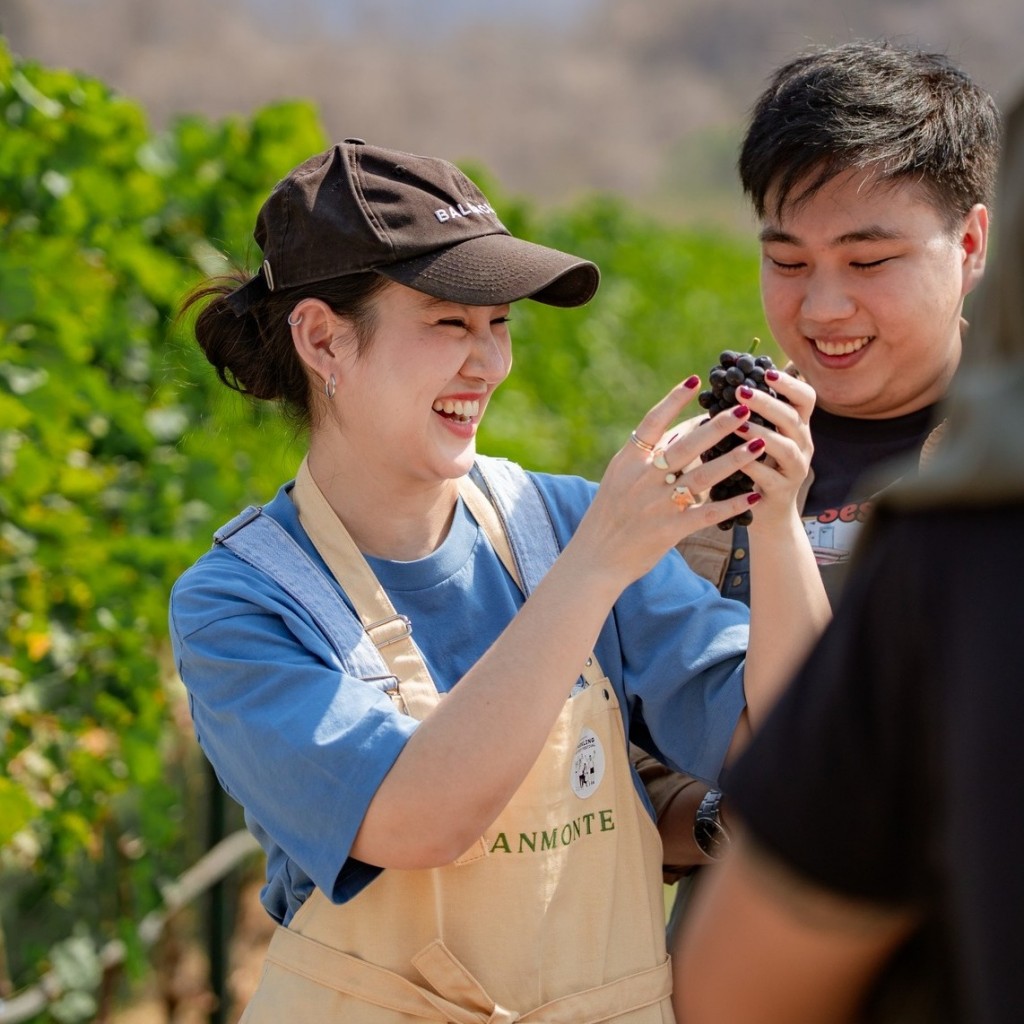 GranMonte Harvest Season 2026 3