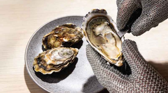The Oyster World Cup (1)