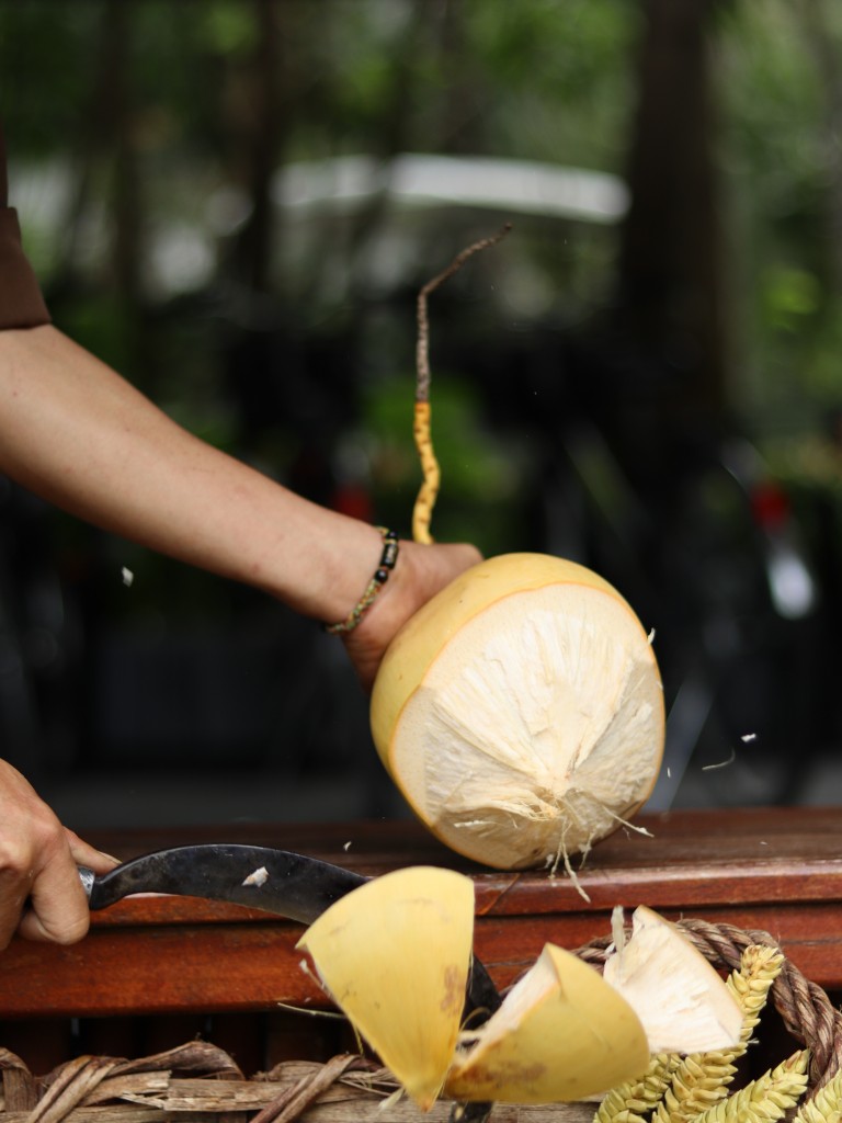 The Anam Cam Ranh_Coconut Harvesting (15)