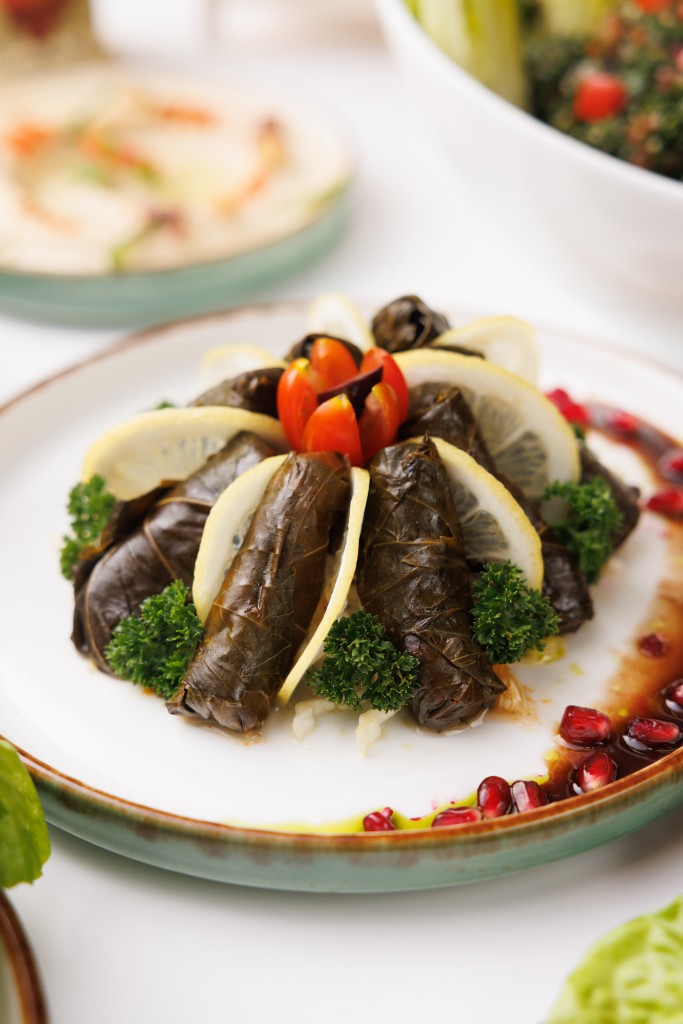 The Levant (10)