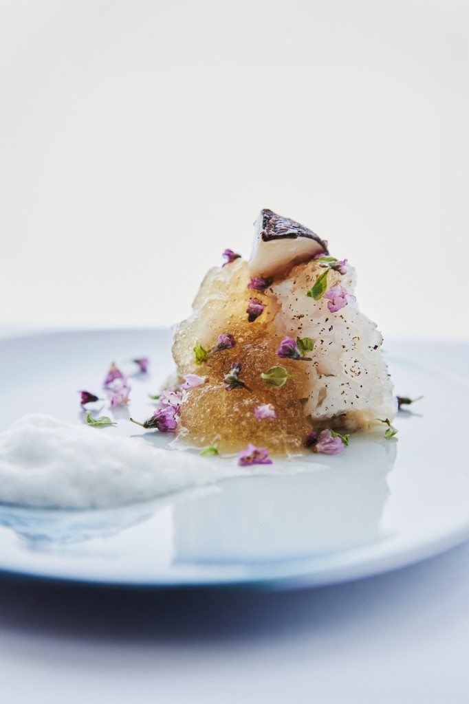 Food 03