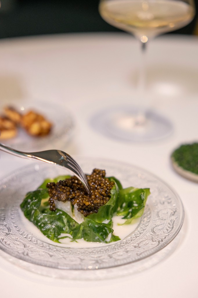 IGNIV_Joel-Signature_&_Caviar-16