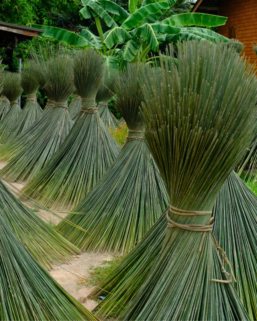 07_TAI_Krajood_Stacks
